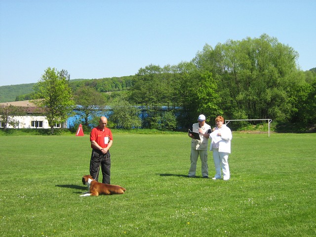 www.atibox.net * www.euroboxer.eu * www.boxergenealogia.eu